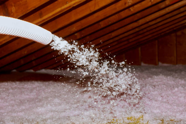 Best Garage Insulation Installation  in Ralls, TX
