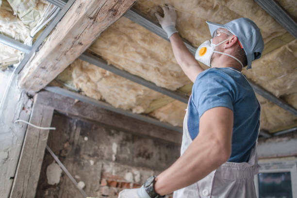 Garage Insulation Installation in Ralls, TX