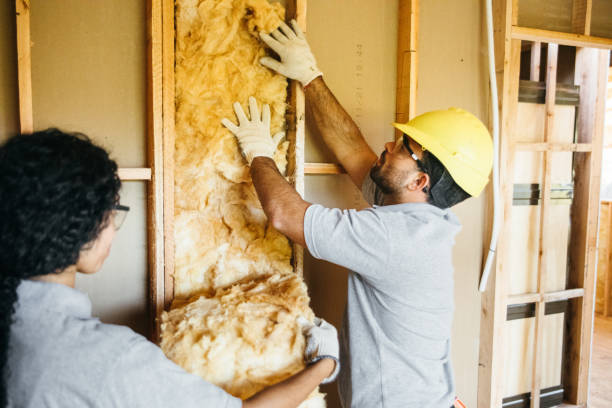 Insulation Repair Services in Ralls, TX