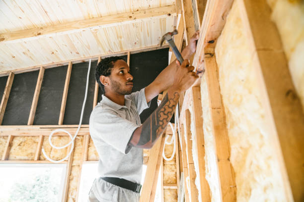 Best Professional Insulation Contractor  in Ralls, TX