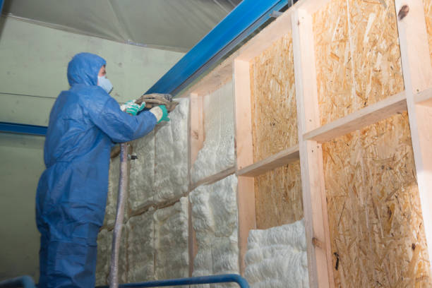 Best Insulation Repair Services  in Ralls, TX